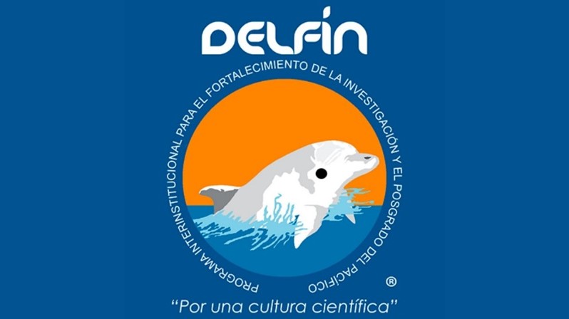Imagen del Programa Delfín